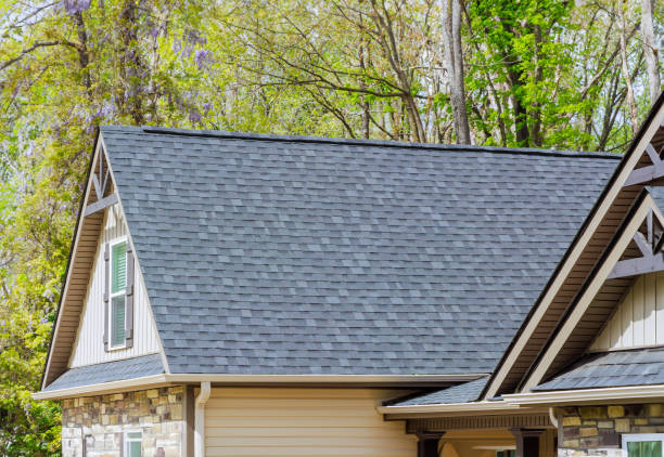 Best Skylight Installation and Repair  in Justin, TX