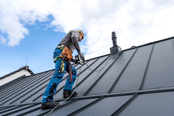 Best Roof Moss and Algae Removal  in Justin, TX